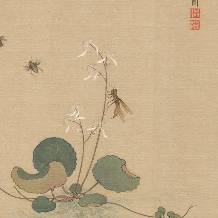 朵云轩木版水印《陈老莲花鸟草虫册》雅赏