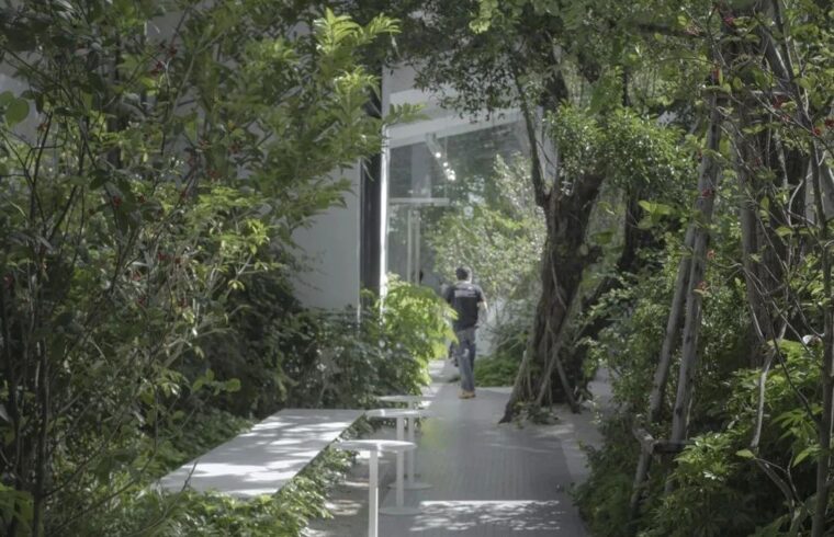 模糊建筑、室内和景观的界限 | 泰国·NANA烘焙咖啡店