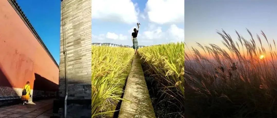 为什么你拍的照片不耐看？照片点评