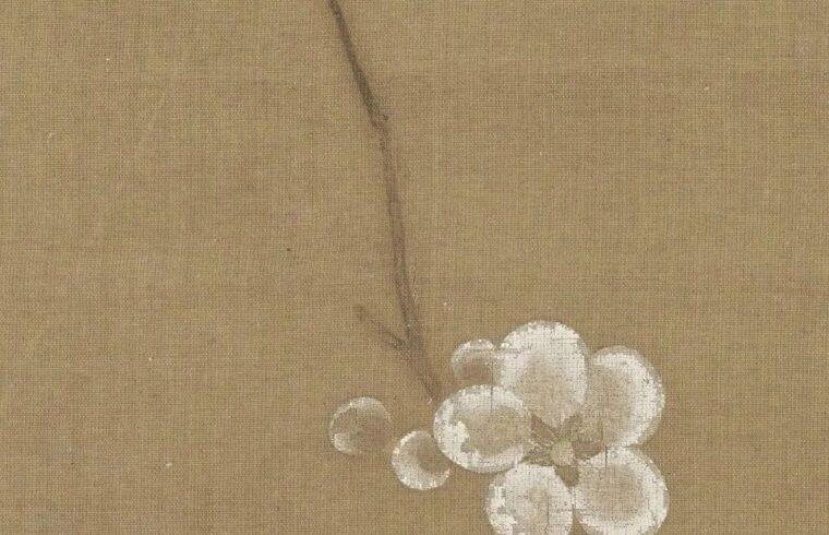 小寒 | 踏雪寻梅时