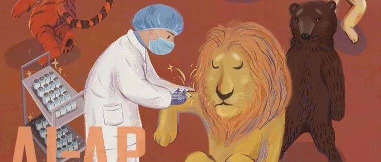 获奖作品《小动物打疫苗》| 凶猛动物也有可爱一面
