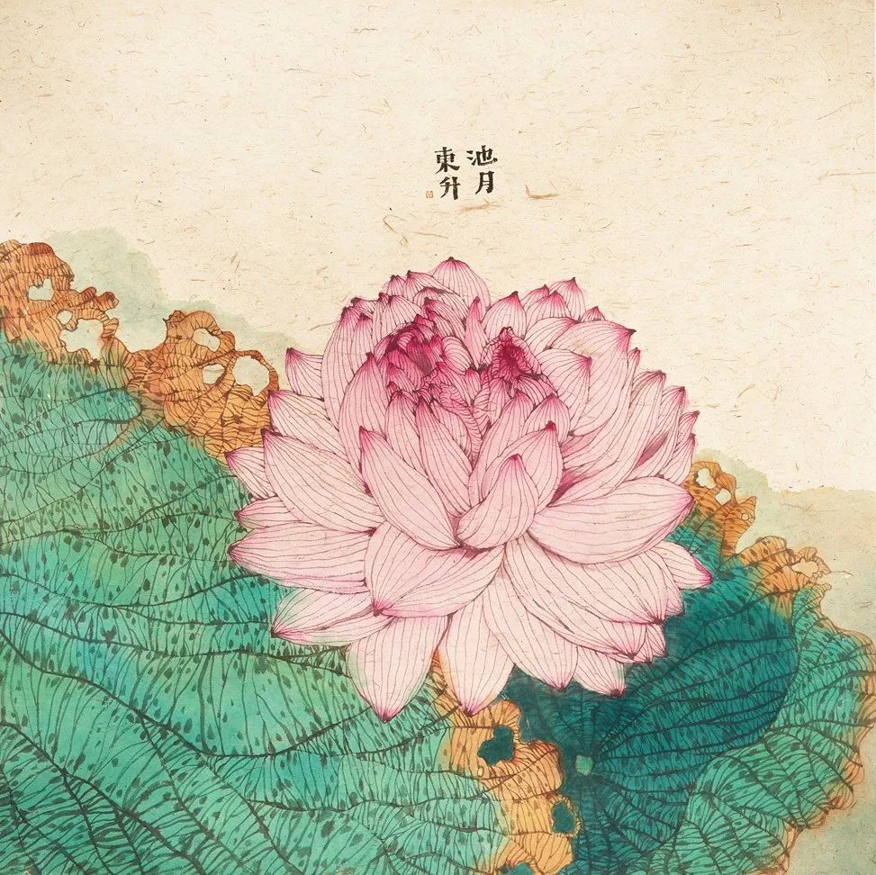 他的美，第一眼就沦陷......