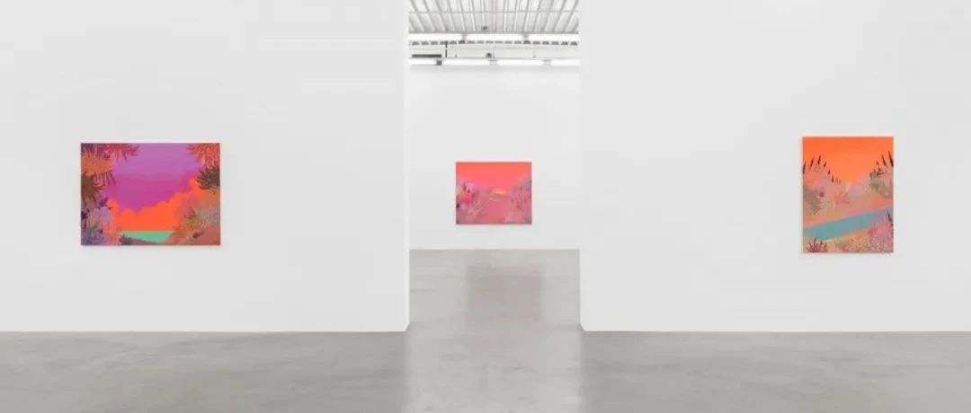 展览现场｜约翰·麦卡利斯特（John McAllister）「谵妄的狂想曲响起」@ 阿尔敏·莱希 - 布鲁塞尔