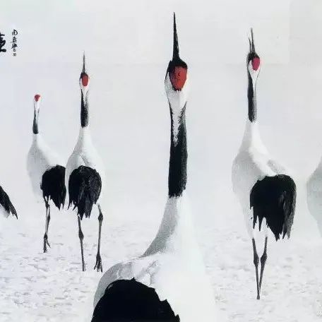 中国风光摄影10大名家名作，赏心悦目！