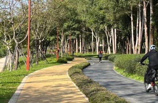 考察笔记│碧道标杆——深圳大沙河碧道用了哪些先进的生态技术？