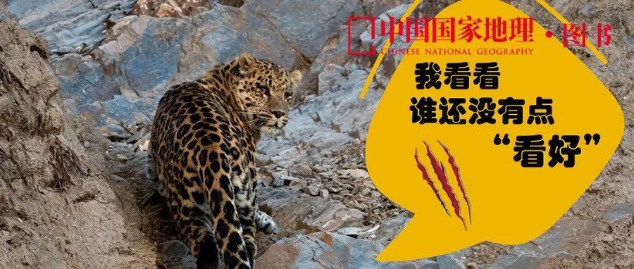 猫党集合！你从未见过的吸猫指南