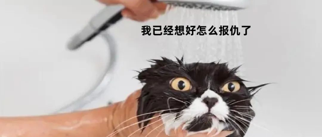 在洗手间设置这个空间的人都爱上了洗澡