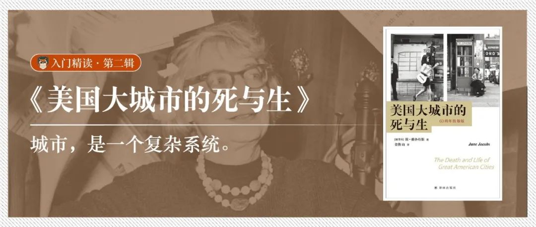 精读《美国大城市的死与生》：城市，是一个复杂系统（下）