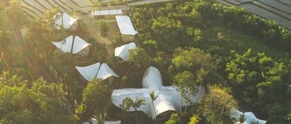 一个令人向往去度假的地方 · 乌拉曼生态度假村，在巴厘岛！