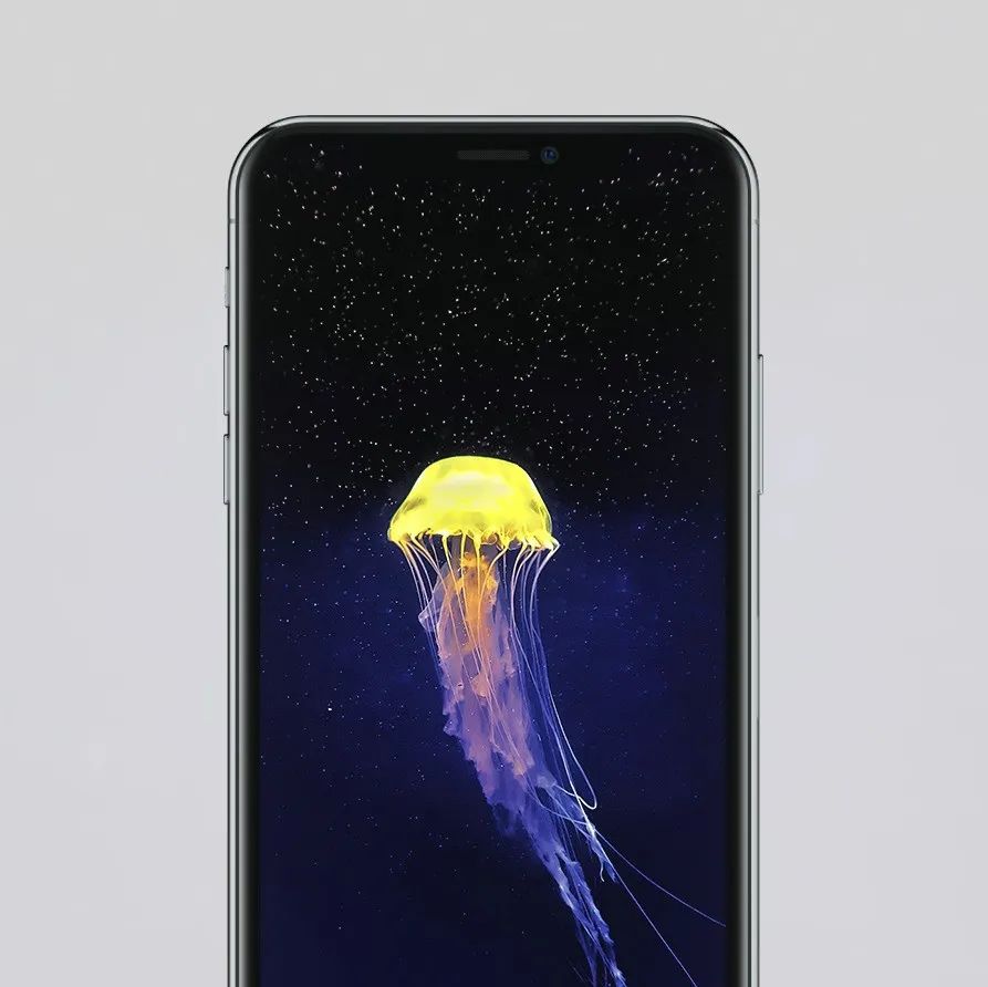 精选壁纸 | 海底透明杀手！