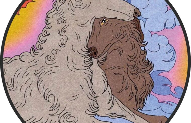 插画丨异想天开的插图世界，奇思妙想的人物，鲜艳的色彩
