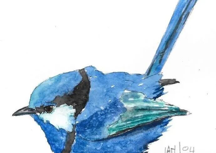 加拿大画家Ian de Hoog水彩作品
