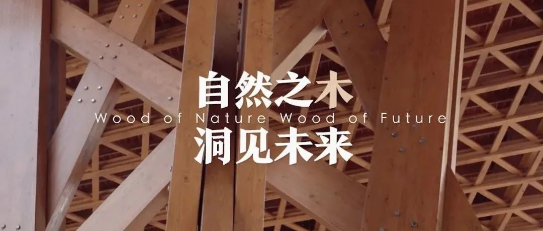 专访视频｜李保峰：以木为材的谦和建造