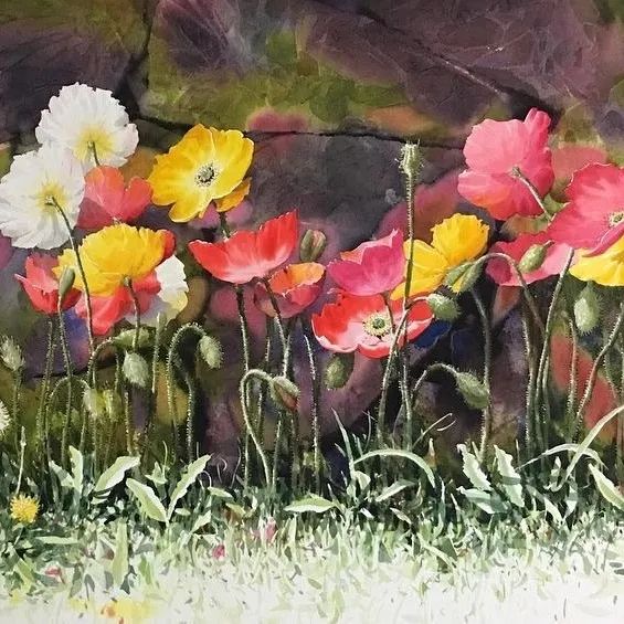 申宗植Shin Jongsik水彩花卉绘画作品欣赏