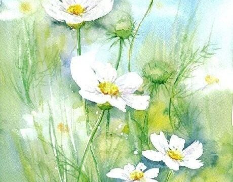 ​水彩  Maria Roszkowska  绘画作品欣赏