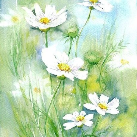 ​水彩  Maria Roszkowska  绘画作品欣赏