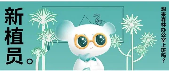 安道为康牧打造森林办公新场域