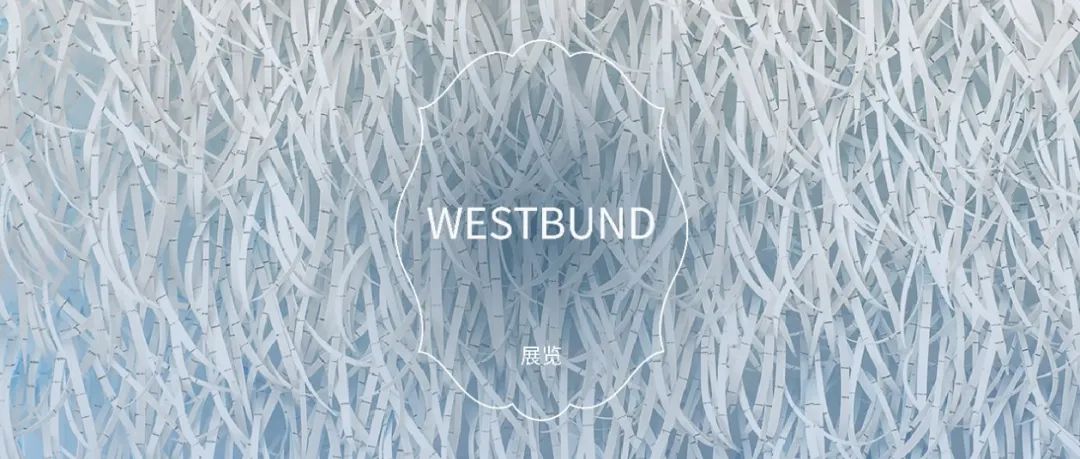 West Bund 西岸艺博览会｜ HA展位 B116