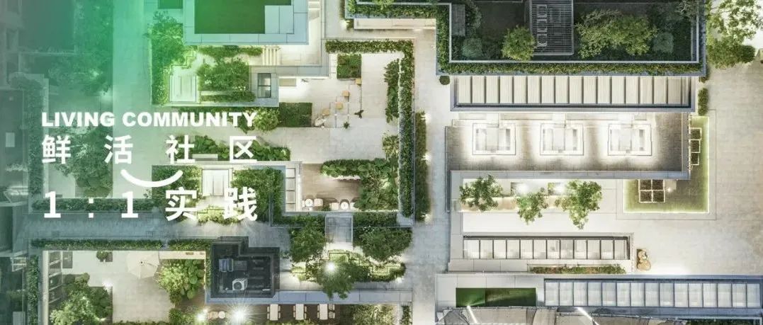 goa作品 | 海上源：鲜活社区的1:1实践