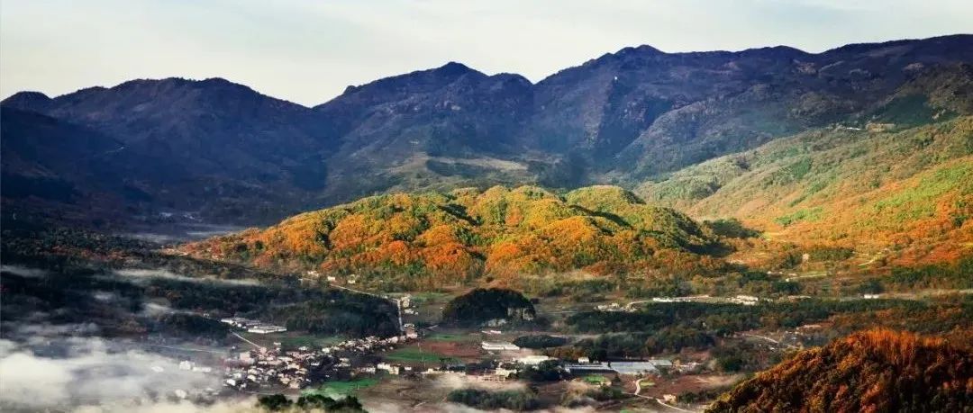 同济中标、中规院第二，来也股份第三丨巴中市光雾山诺水河文旅融合发展示范区国际征集第二阶段成果评审结果公告