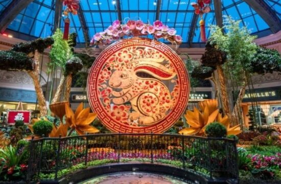 中国新年庆祝活动设计灵感