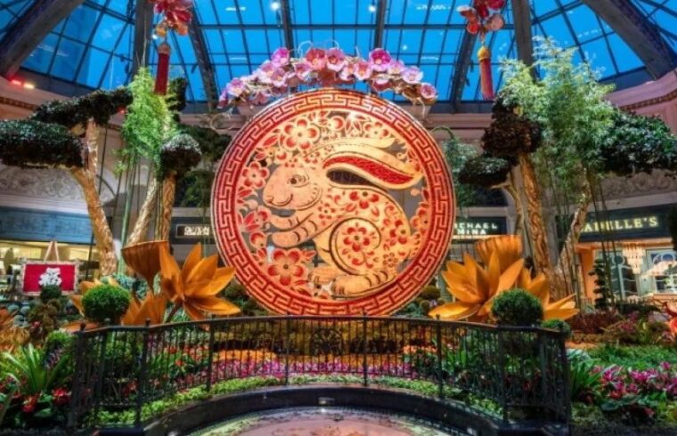 中国新年庆祝活动设计灵感