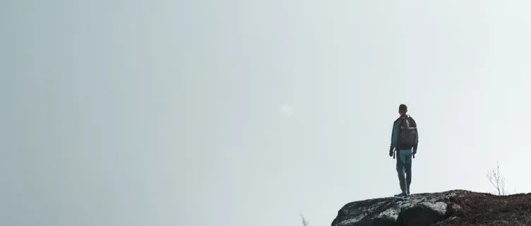 年报之后｜那些比数字更重要的事