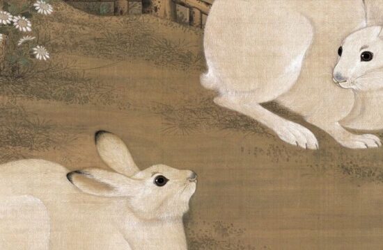 遗产视野丨灵兔呈祥：兔画·画兔