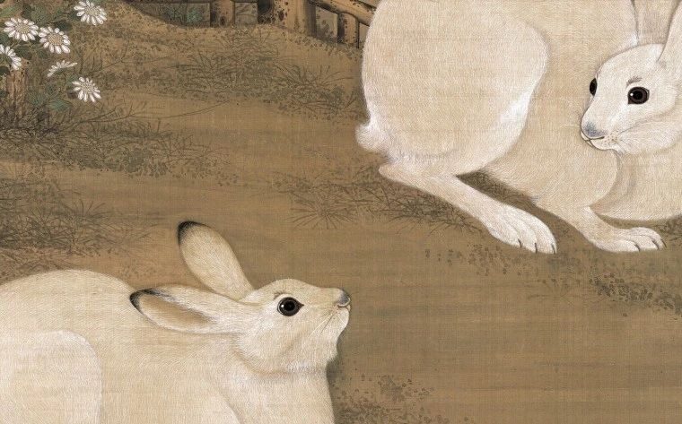 遗产视野丨灵兔呈祥：兔画·画兔