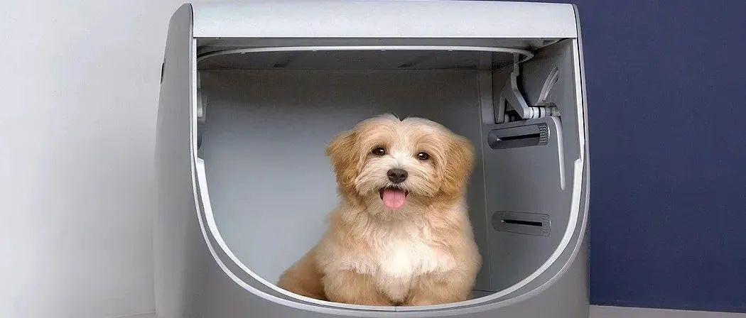 给你爱的它多一点关心