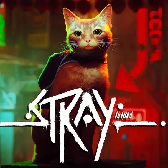 【海外】《Stray》制作人专访：如何用创新和玩家测试打造猫咪主角体验？