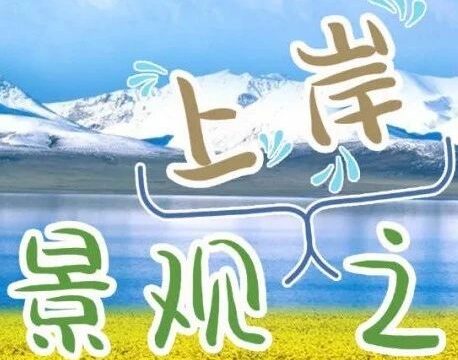 大力建设的青海省~2023年青海省公务员招考 “景观岗位” 分析