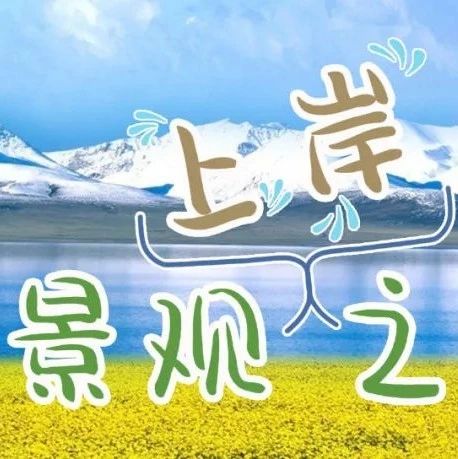 大力建设的青海省~2023年青海省公务员招考 “景观岗位” 分析