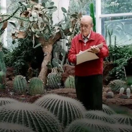 82岁爷爷被赞“中国植物画第一人”，每天沉浸绘画9小时