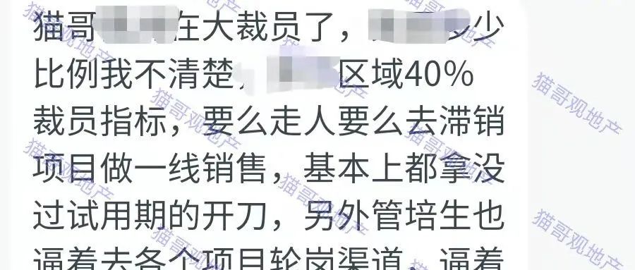 裁员40%