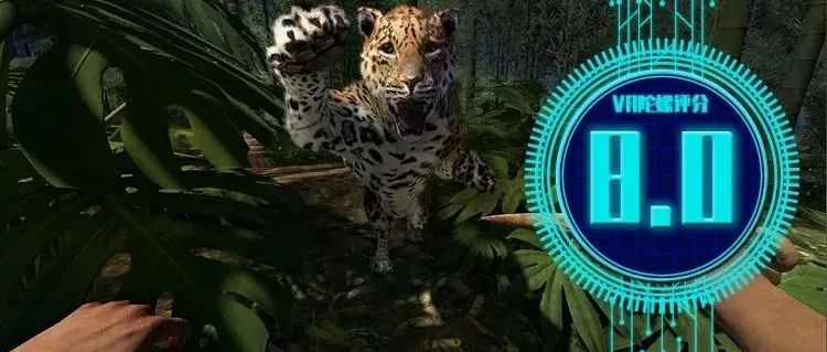 化身“贝爷”在亚马逊雨林荒野求生 |《Green Hell VR》新游锐评