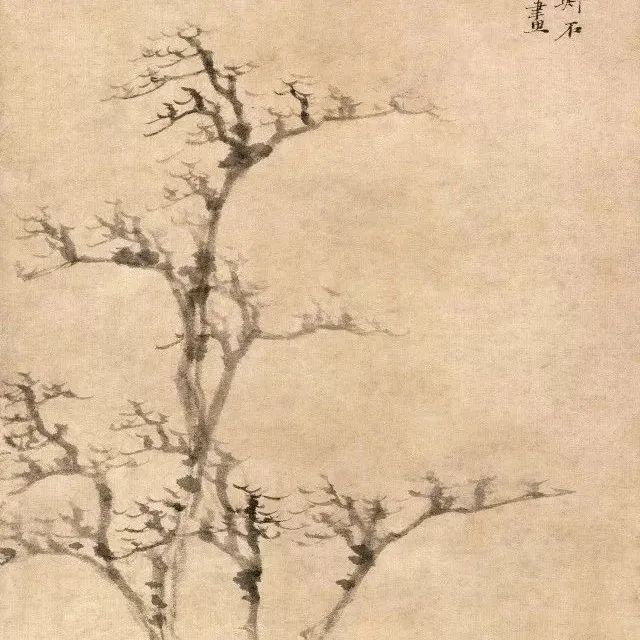 《古木幽篁图》 倪瓒（元） - 中国名画鉴赏语音讲解（一百五十）