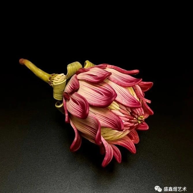 最后七天报名：2023年第十三届国际植物花卉艺术在线大赛