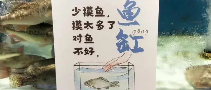 大润发文案海报，又出圈了！当代互联网嘴替！