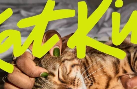 猫粮食品品牌KatKin视觉形象变得更加灵动