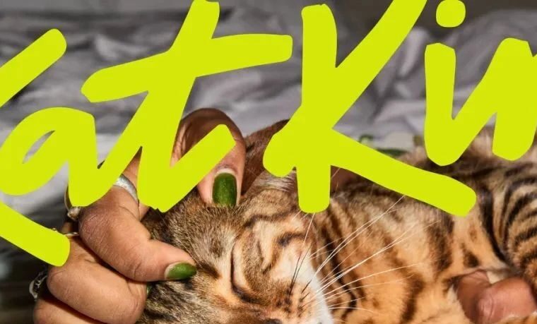 猫粮食品品牌KatKin视觉形象变得更加灵动