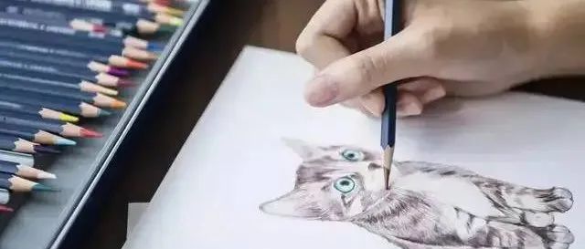 绘画板绘丨画画需要天赋？没有天赋是应该放弃？还是坚持？