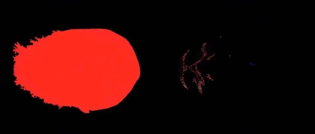 举起我的手向我致敬