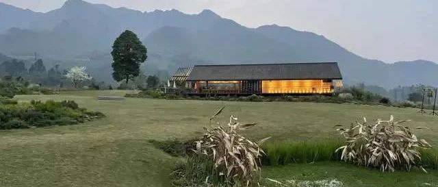 稻田里的食堂和咖啡馆 | 高桥里野坡咖啡 田间本味