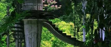 摇摇欲坠的丛林秘密花园，建成至今无人知晓其内涵 | 雨林仙境 las pozas