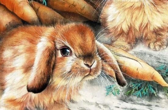 兔的画法两例详解