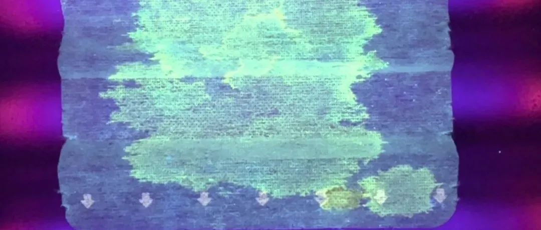 利用鸵鸟细胞研发的口罩，检测到新冠病毒后会发光
