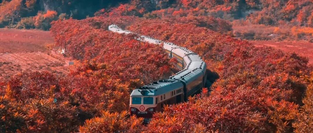 中国禾火口十图鉴