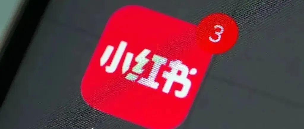 “葬爱家族”，在小红书重生