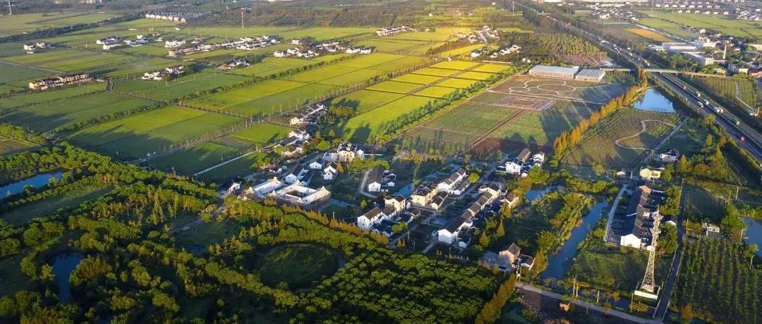 25个乡村村落改造更新案例合集｜乡村振兴系列